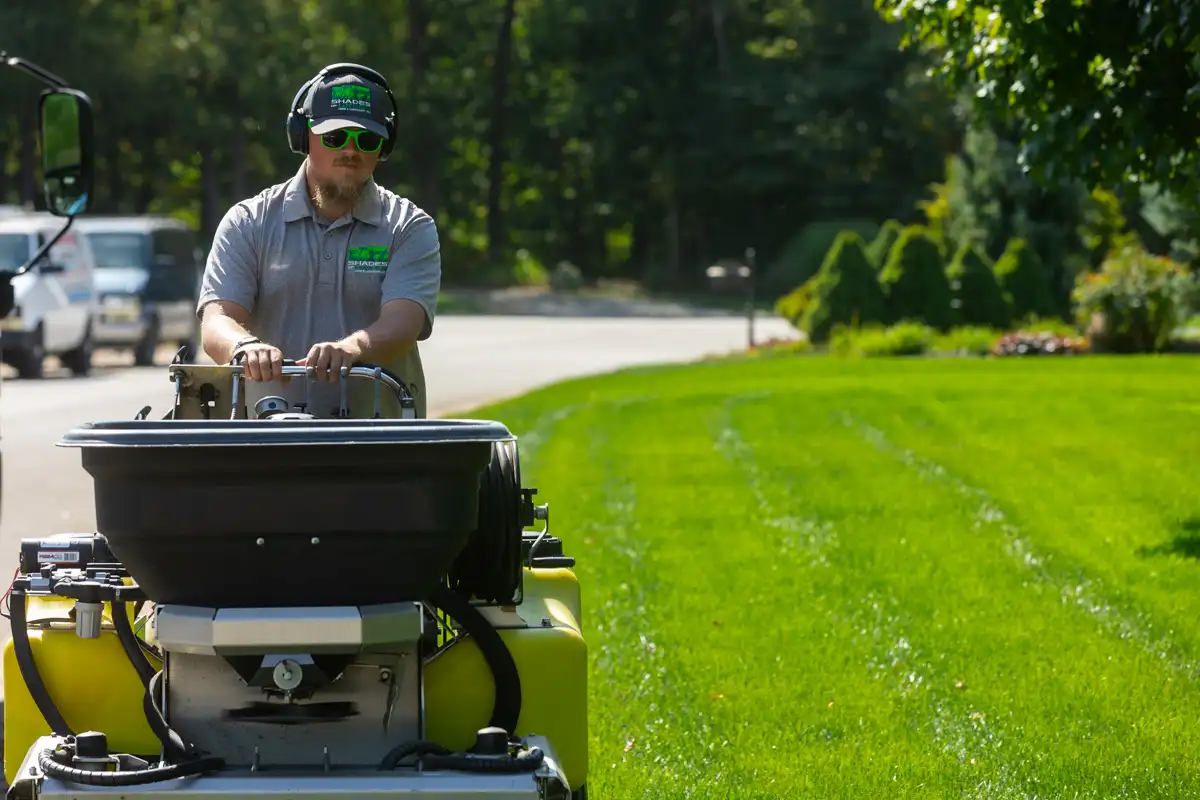 Technician wearing ear protection driving a ride-on spreader across a striped lawn