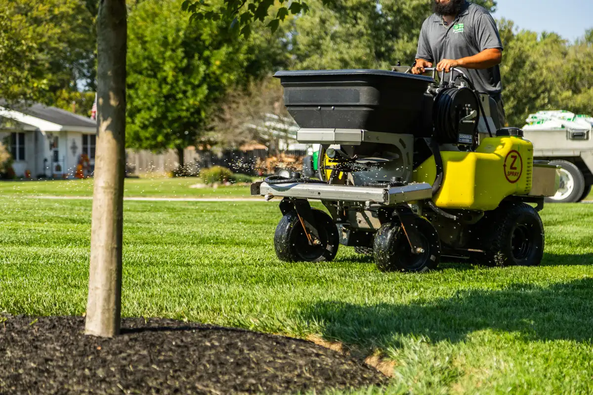 Ride-on spreader passing a mulched young tree on a green lawn