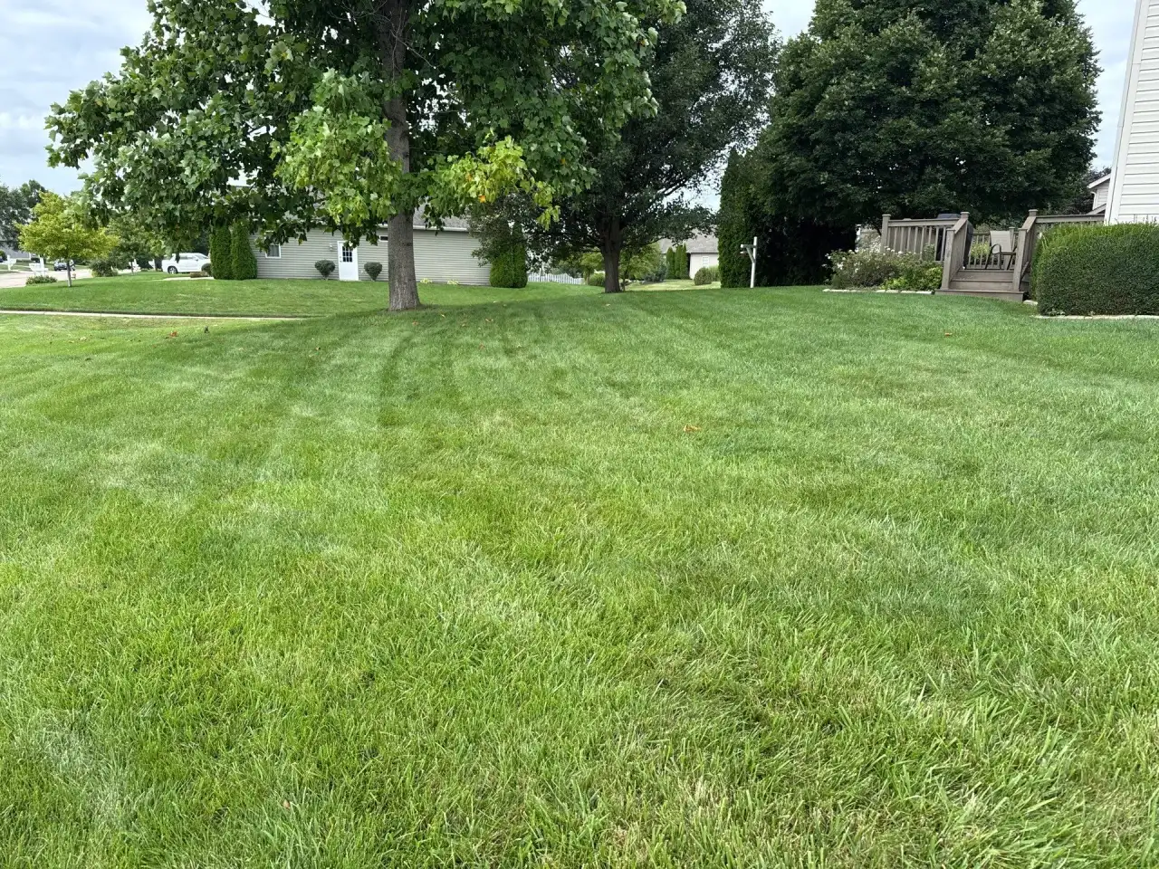 Wide backyard lawn with shade trees and a wooden deck in Lafayette, Indiana