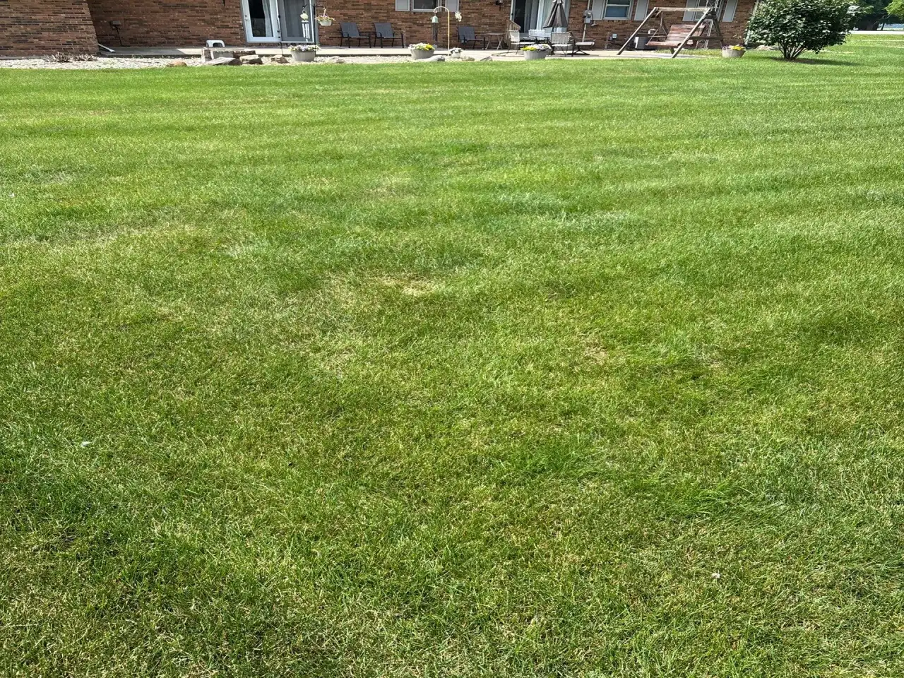 Wide striped lawn behind a home in Delphi, Indiana