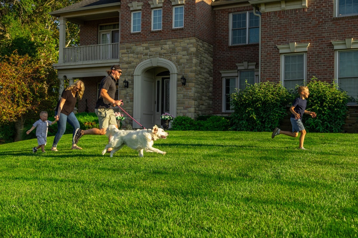 lawn handling high foot traffic from a family