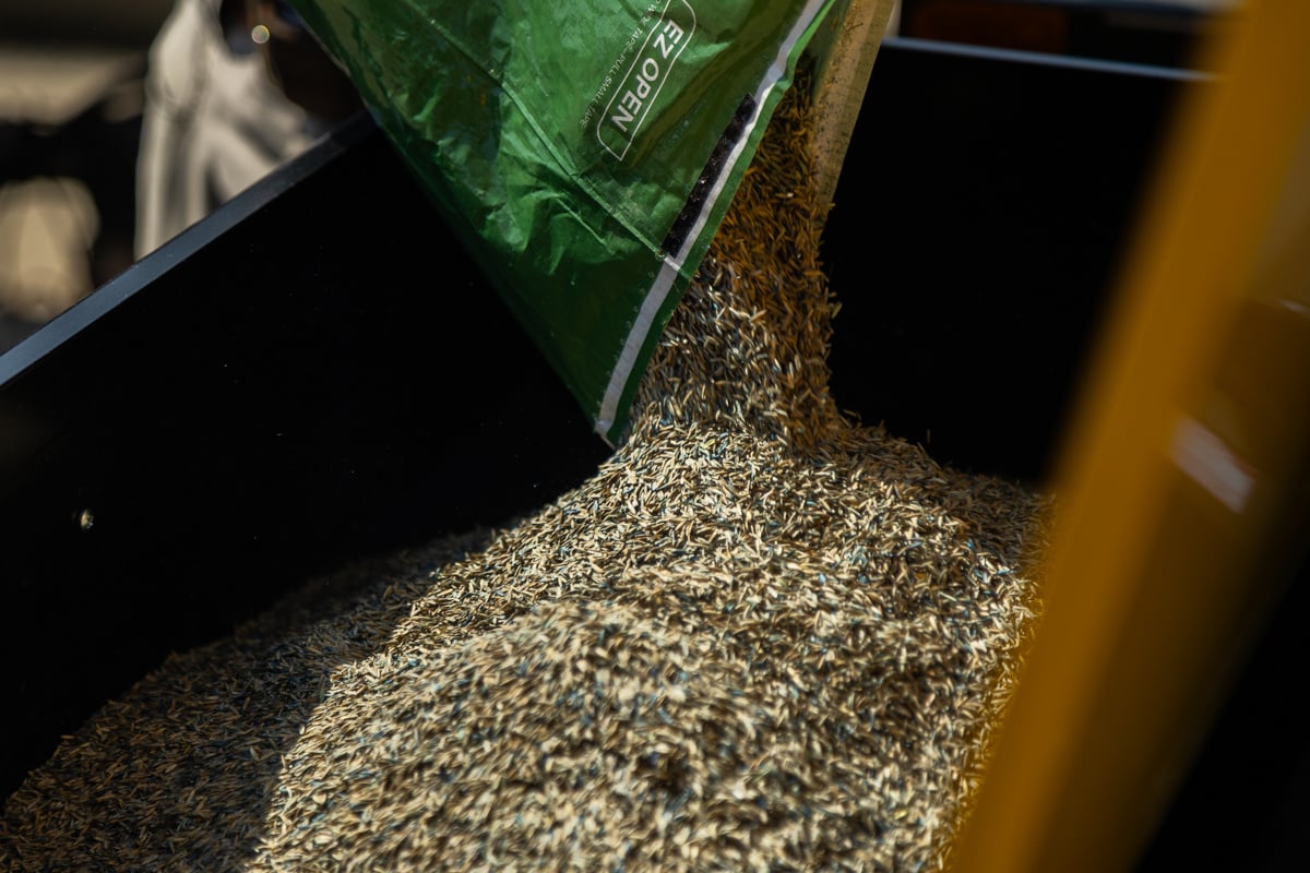 closeup of grass seed being added to a hopper to be spread in the fall to fill in bare spots to prepare a lawn for a spring revival