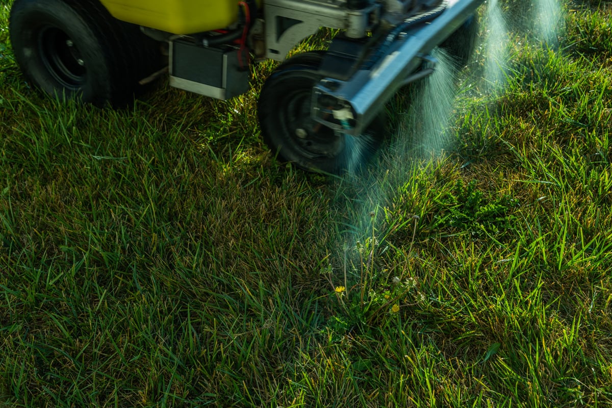 liquid weed control treatment on a lawn