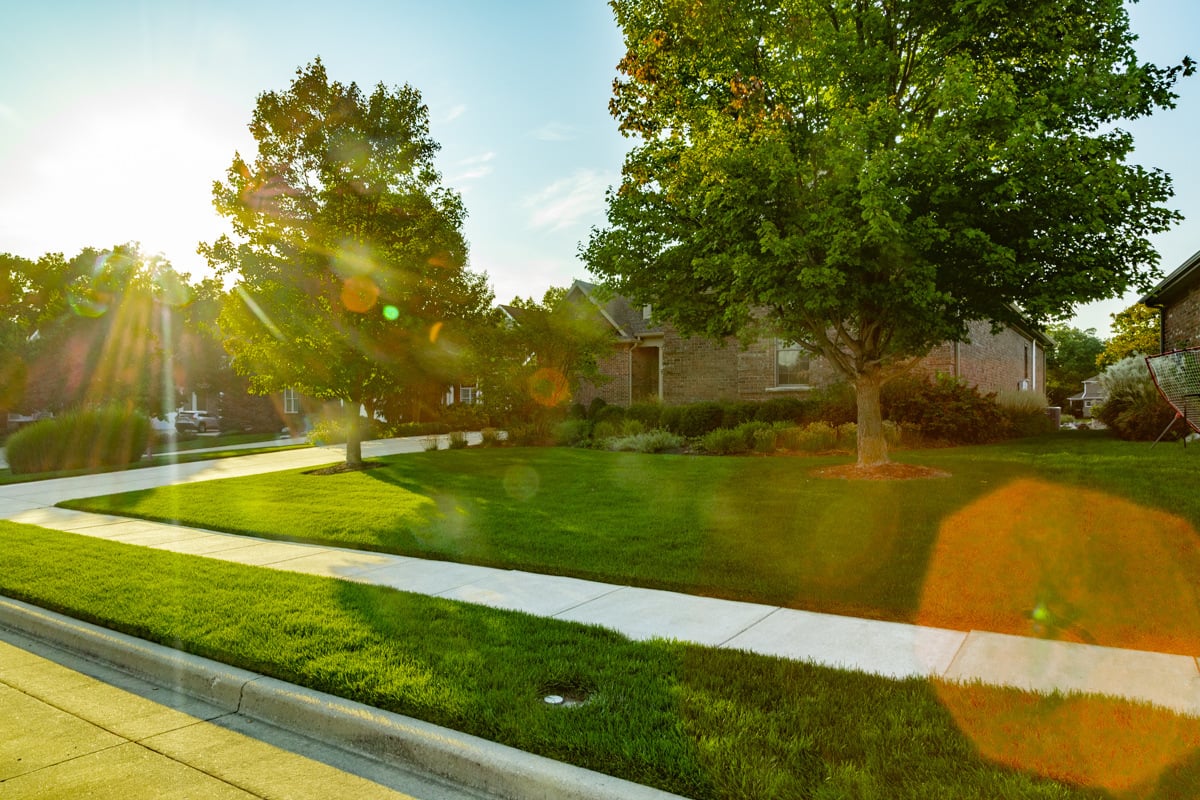 a green lawn that has the correct soil pH level for grass in Indiana