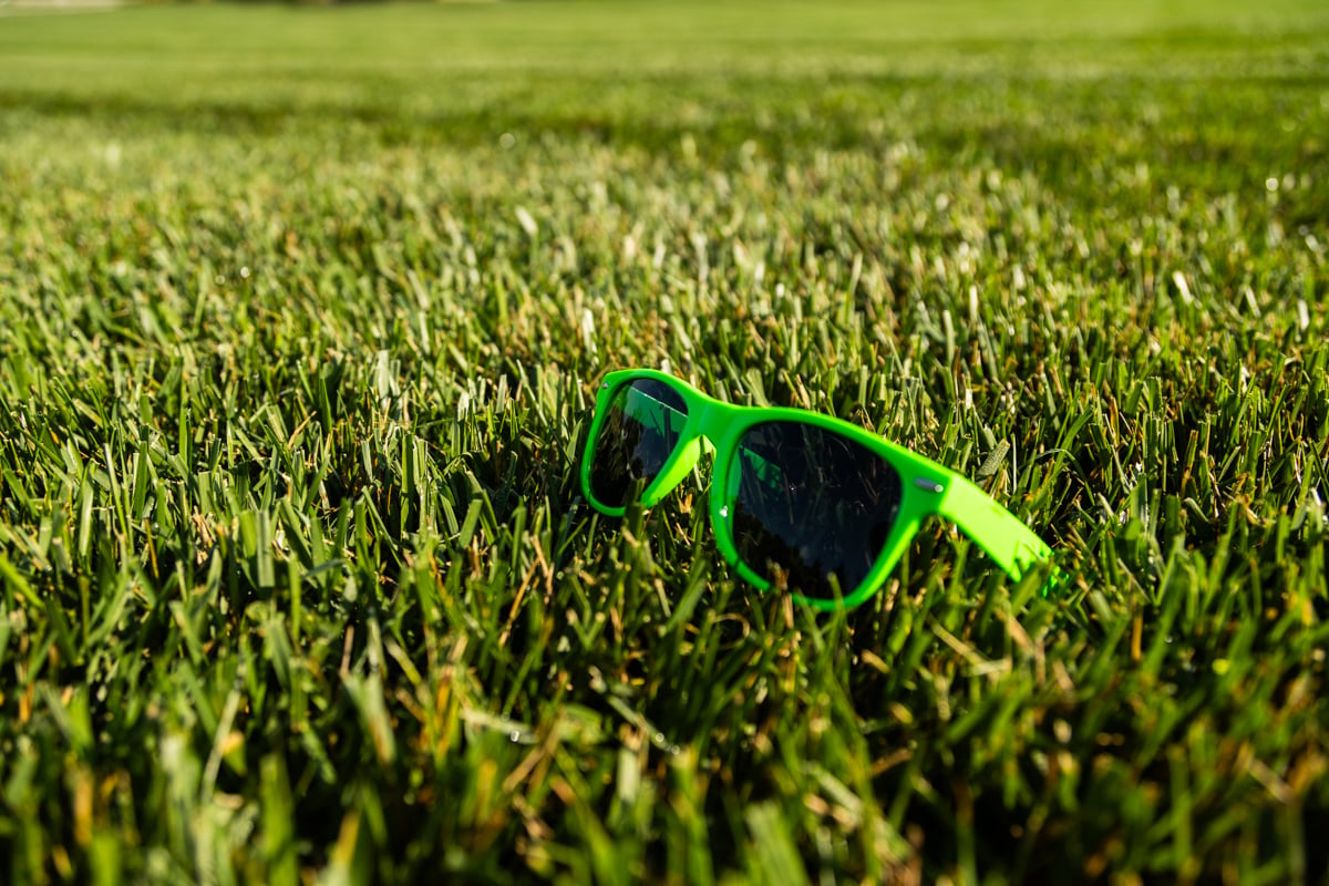 green shades sitting in grass