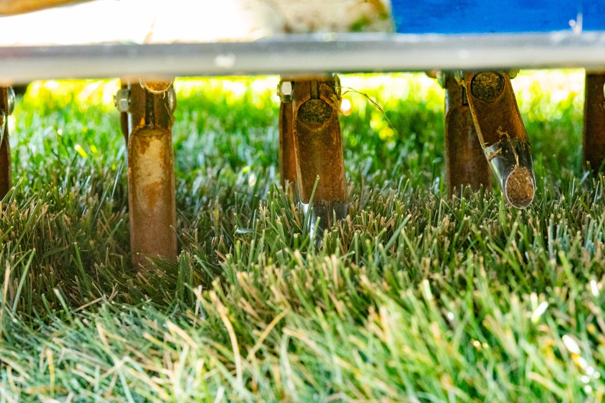 close up of aeration tines being used on soil to reduce compaction