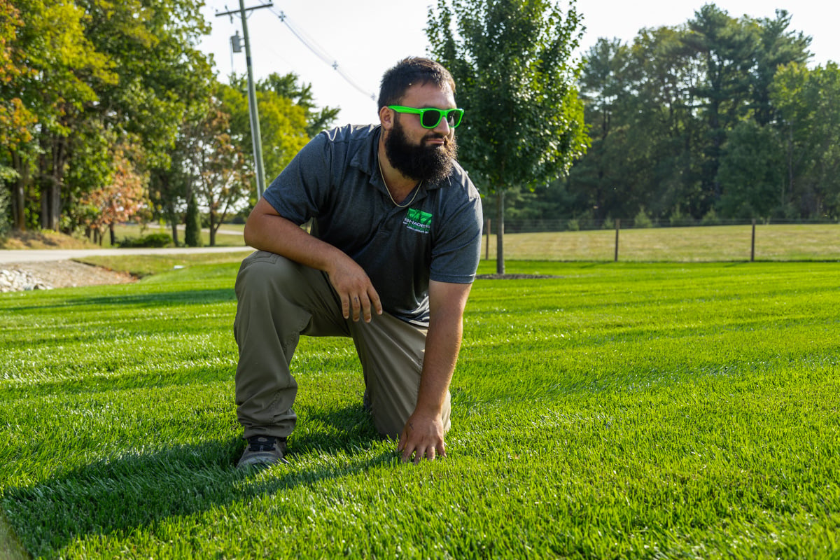 lawn care technician observing a beautiful green lawn in Lafayette