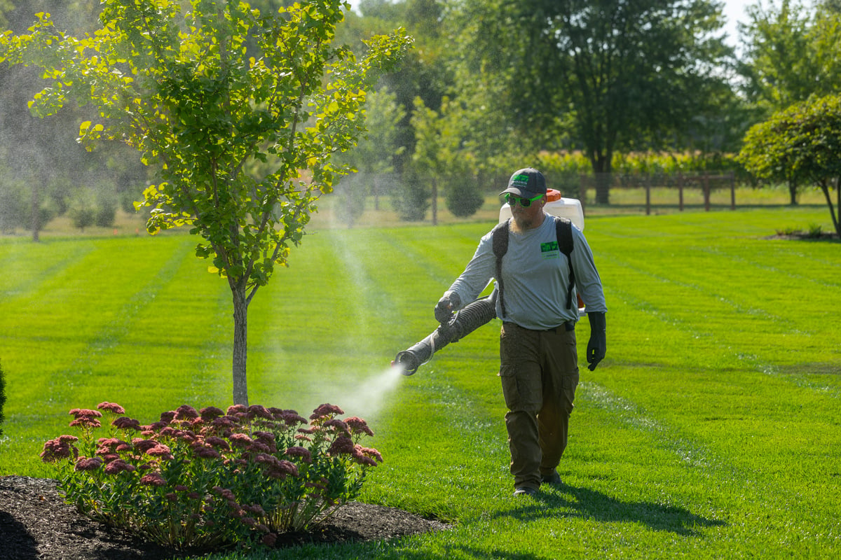 pest control treatments being applied