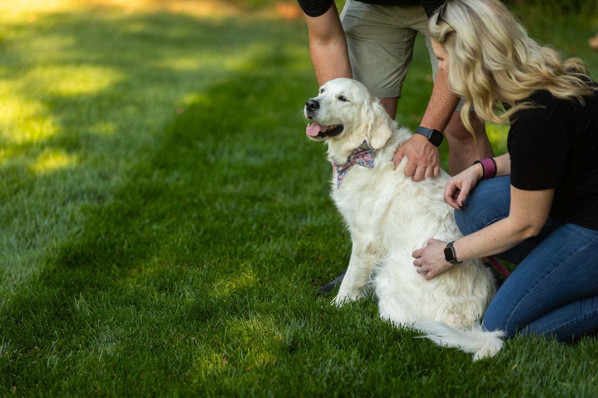 client family happy dog lawn 2