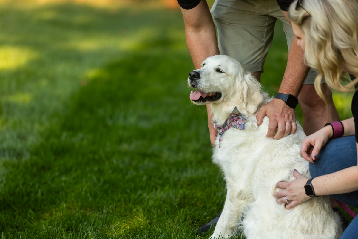 client family happy dog lawn