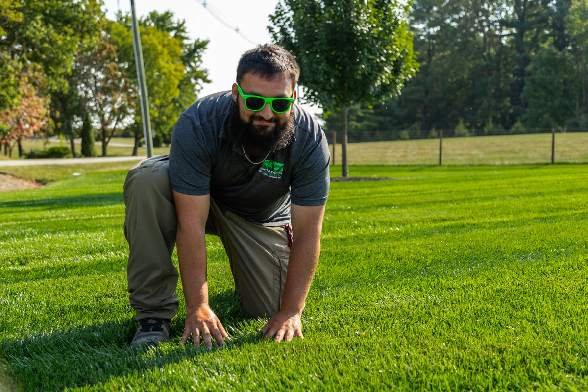 technician nice grass lawn turf inspection 2