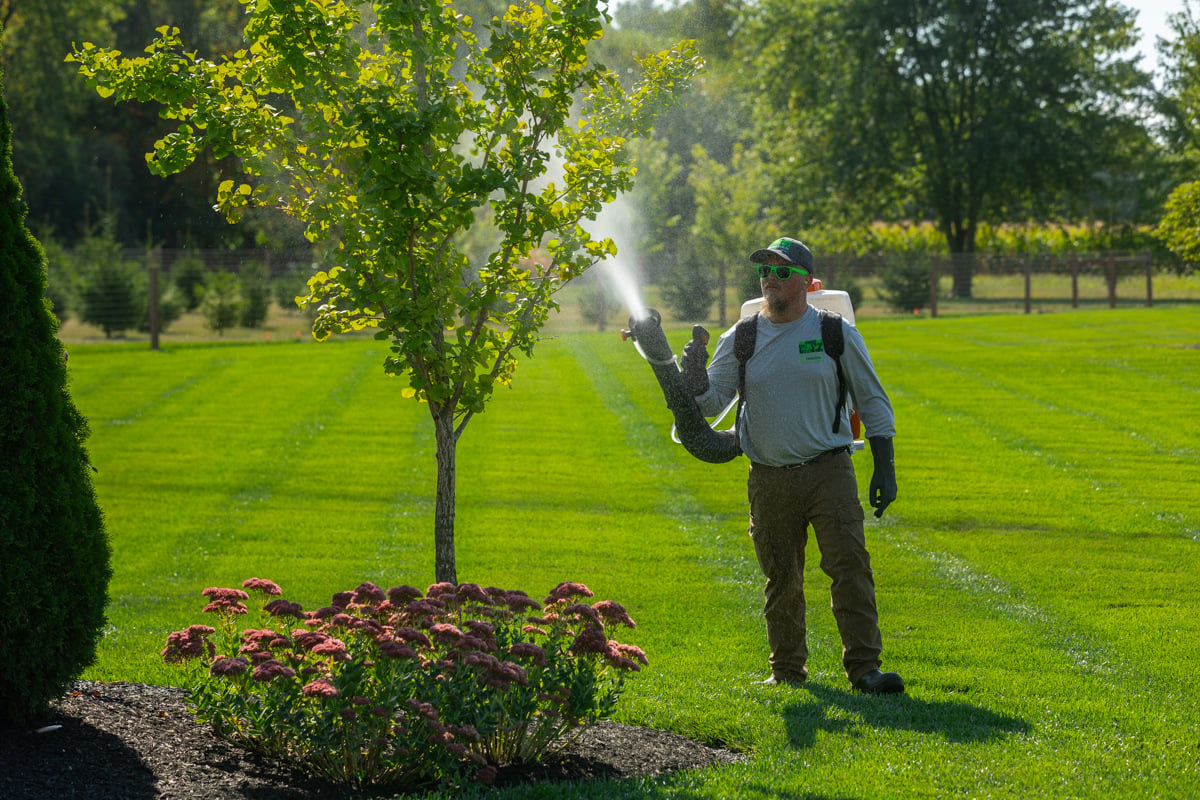 technician service mosquito fog spray pest control 21