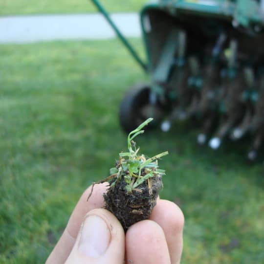 Aeration and Seeding: Your Fall Lawn Care Priority