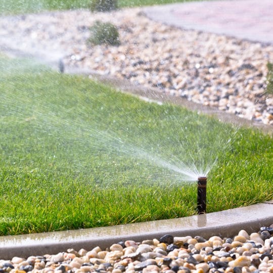 When Is the Best Time to Water Your Lawn?