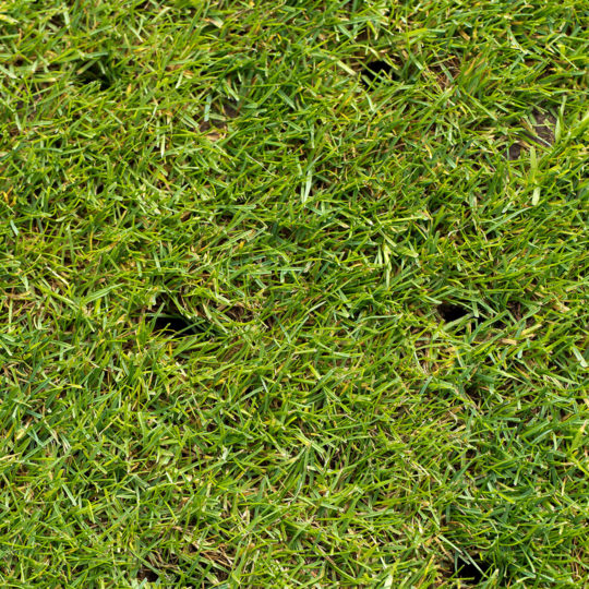 When Is the Best Time to Aerate Your Lawn?