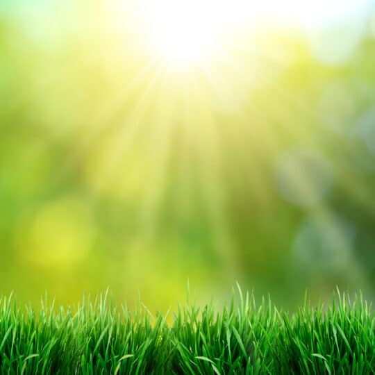 Your Spring Lawn Care Checklist