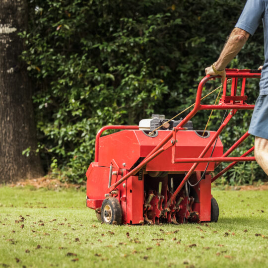 Aerate Your Lawn