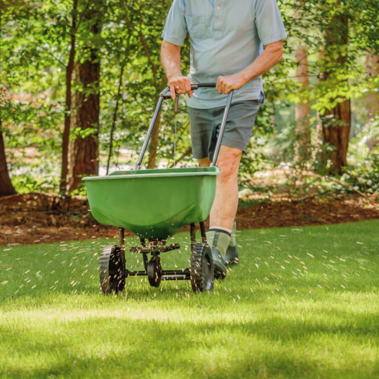 Lawn Seeding Tips